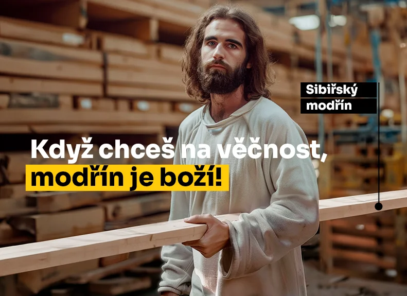 Sibiřský modřín